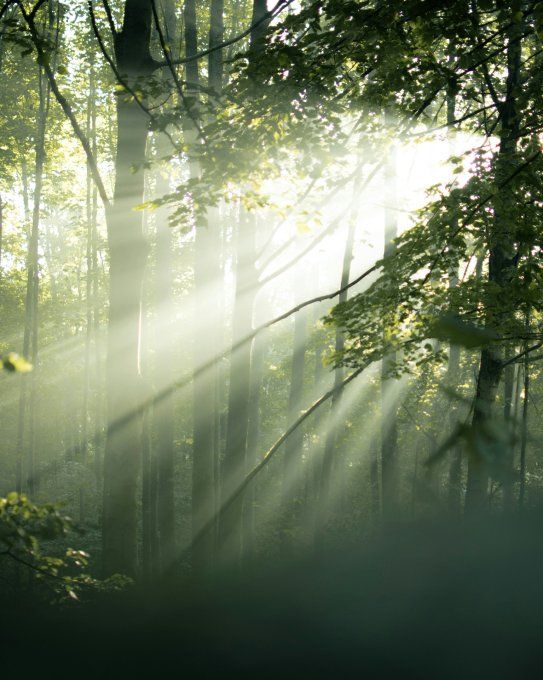 Consultation - Tarif Solidaire 